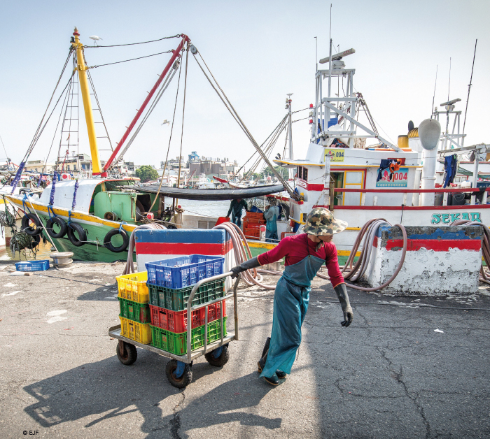 10 Jahre IUU-Verordnung: Auswirkungen auf Handelsströme mit Fisch und Meeresfrüchten