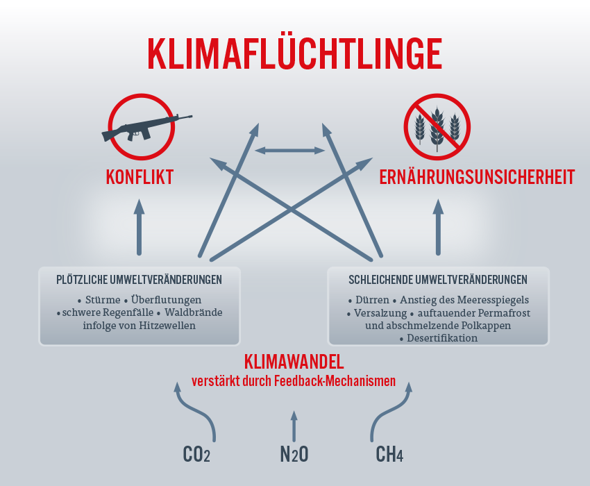 Infographics Website German