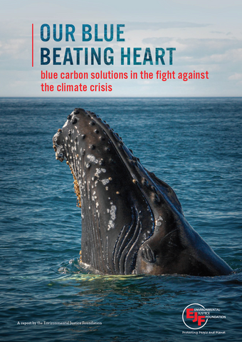 Our blue beating heart: Blue carbon solutions in the fight against the climate crisis
