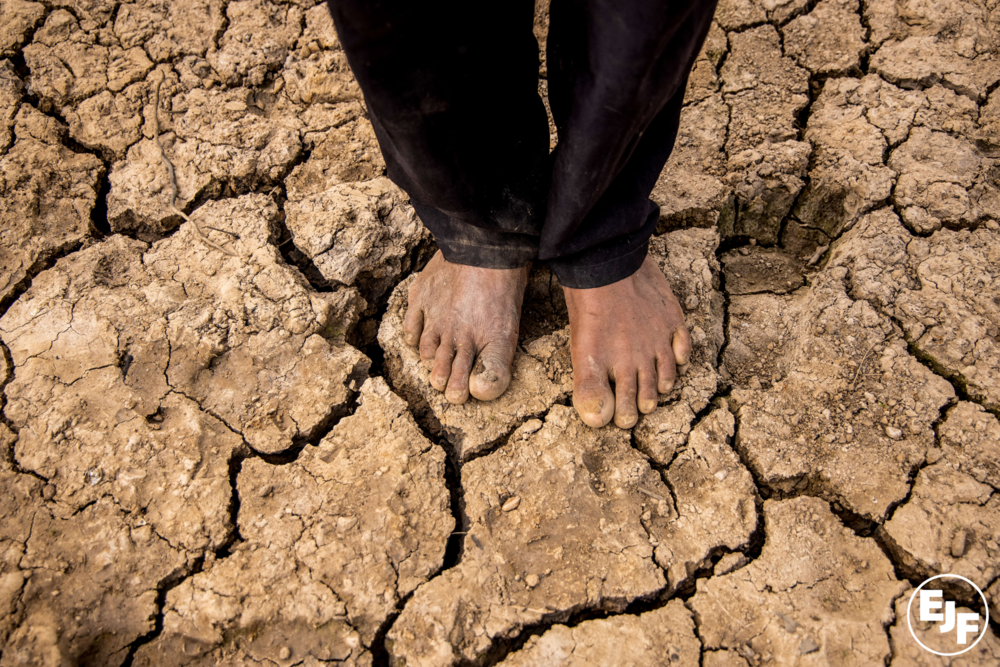 Climate Crisis Drought