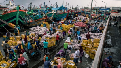 Free due diligence toolkit to help buyers of legal, ethical seafood