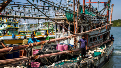 EJF welcomes ILO Convention 188 coming into force, calls on all nations to ratify