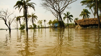 Risking Lives and Livelihoods - The Climate Change Deniers