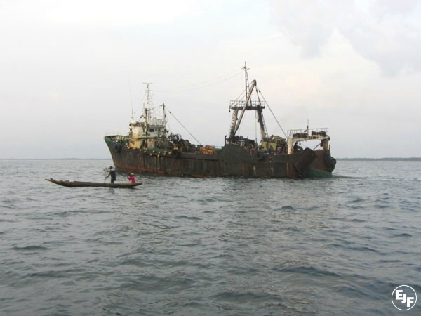 Rs17528 Ejf Illegal Fishing Sierra Leone 12169 Small 2