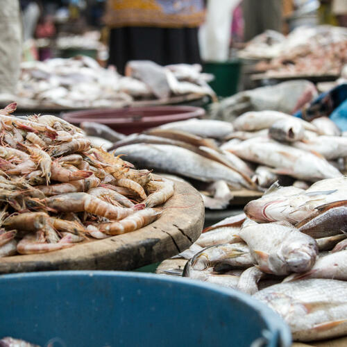 Leading businesses, NGOs and experts identify solutions to secure global seafood supplies
