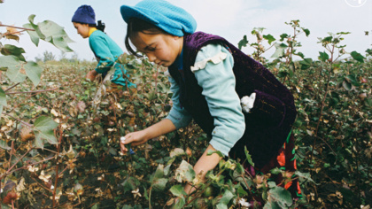 Tesco takes a stand against forced labour in Uzbek cotton harvest