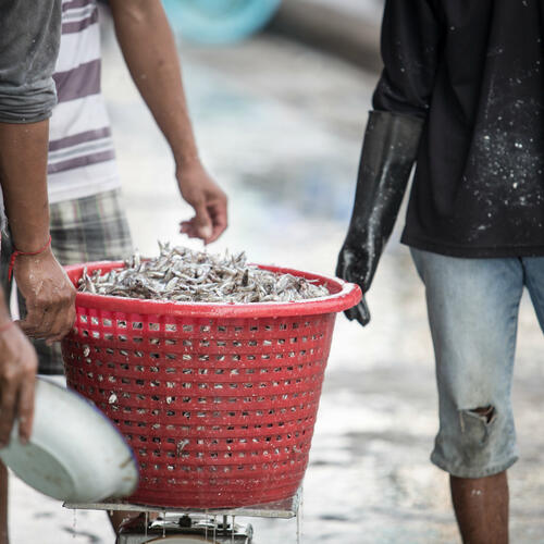 Slavery in the seafood supply chain: what can we do about it? - EVENT