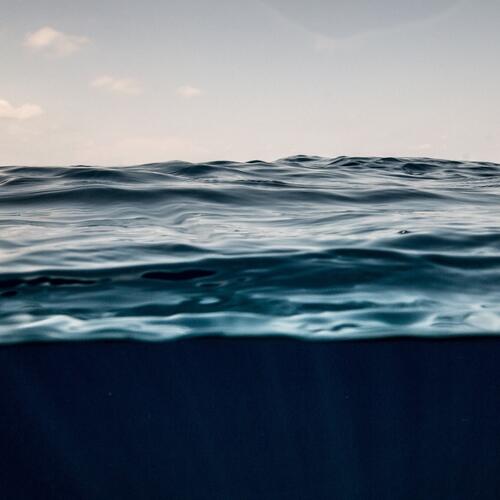 Blauer Kohlenstoff: Die Rolle der Meere im Kampf gegen die Klimakrise