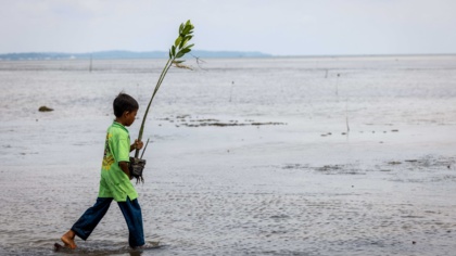 Human Rights Depend on a Thriving Natural World