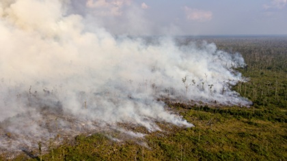 Vorsicht vor vermeintlichen „Lösungen“ der COP26