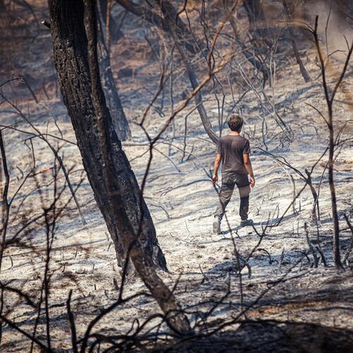 Ravaged by fire: The victims of Turkey’s fire season