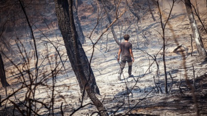 Ravaged by fire: The victims of Turkey’s fire season