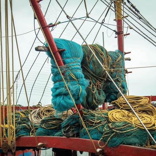 Für Küstengemeinden, Klima und Meere: Grundschleppnetzfischerei gehört dringend gestoppt