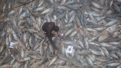 Our ocean needs the MSC to do better