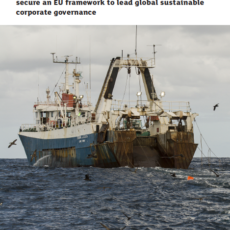 A Race To The Top: Lessons learnt from the EU’s law on illegal fishing to secure an EU framework to lead global sustainable corporate governance