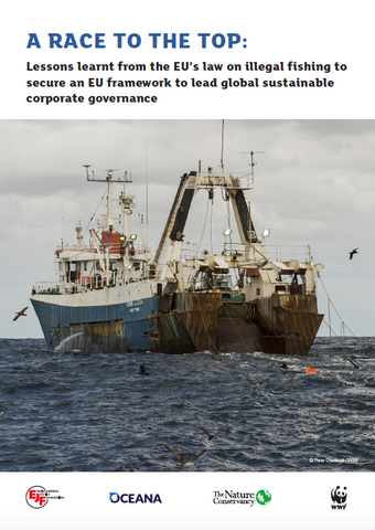 A race to the top: Lessons learnt from the EU’s law on illegal fishing to secure an EU framework to lead global sustainable corporate governance