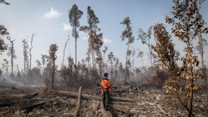 Nothing short of betrayal: the COP26 climate pact