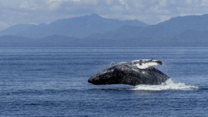 Unsere Highlights des Jahres