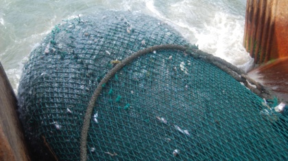 Des chalutiers chinois titulaires de droits d’exploitation à Madagascar ont des antécédents de pêche illégale et d’utilisation de faux documents