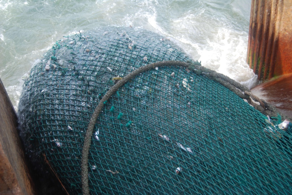 Trawl net