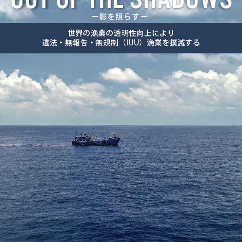 Out of the Shadows: Japanese version (ー影を照らすー)