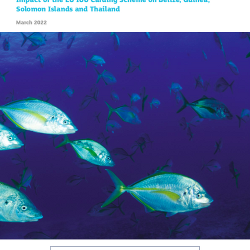 Verbesserungen in der globalen Fischereipolitik: Die Effekte des Kartenverfahrens der IUU-Verordnung der EU auf Belize, Guinea, die Salomonen und Thailand