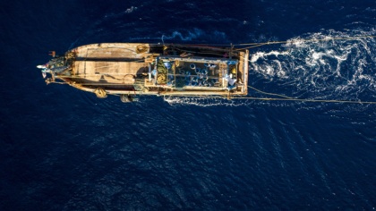 EU scheme to tackle illegal, unreported and unregulated fishing brings positive results and empowers nations, new report finds