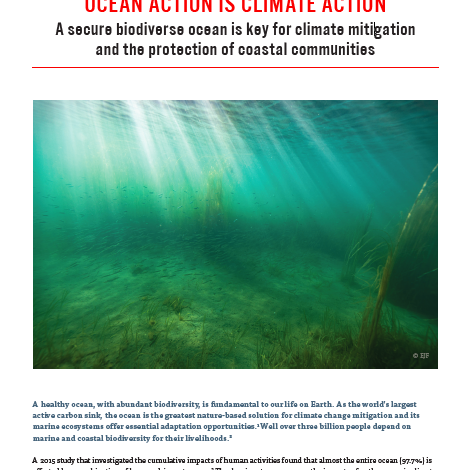 Ocean action is climate action: A secure biodiverse ocean is key for climate mitigation and the protection of coastal communities