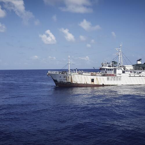 Webinar: Illegale Fischerei und Menschenrechtsverletzungen durch Chinas Fernfischereiflotte