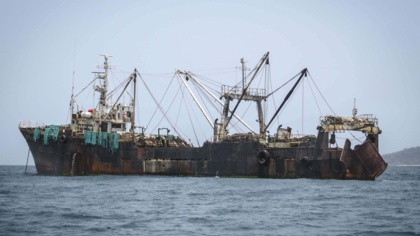 Delays on a UN high-seas treaty are enabling unbridled exploitation and destruction
