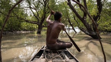 Mangroves matter for people and planet