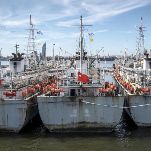 China’s fisheries policies foster a lack of transparency, allowing its fleet to run rampant