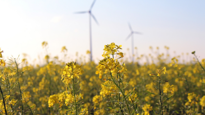 Zwei Baustellen zur Einhaltung des 1,5-Grad-Klimaziels
