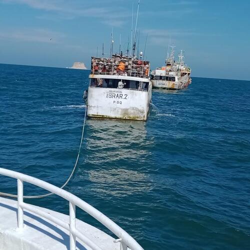 Oman removes fleet of vessels fishing illegally from register of ships