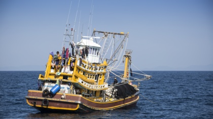 WTO agreement boosts efforts for a sustainable ocean