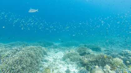 UN High Seas Agreement: Failed, but not off the table