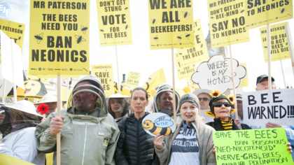 EU to ban neonicotinoids