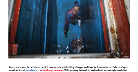 Environmental Justice Foundation | The EU forced labour products ban:…