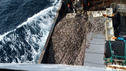 Second vessel arrest in Ghana indicates Chinese company is behind repeated illegal fishing