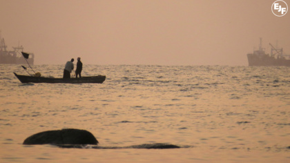 Teach a man (not) to fish: EJF's work with coastal communities in West Africa