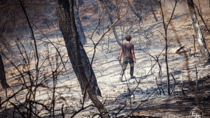 Further towards climate catastrophe: No end to fossil fuels at COP27