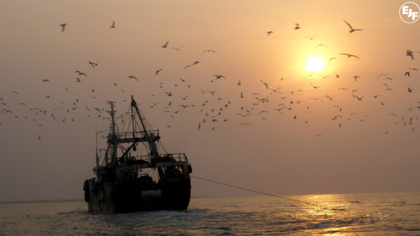 Press Release: Spain announces law to fight pirate fishing