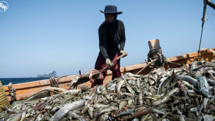 EJF: Thailand’s efforts to eradicate illegal fishing and seafood slavery remain inadequate