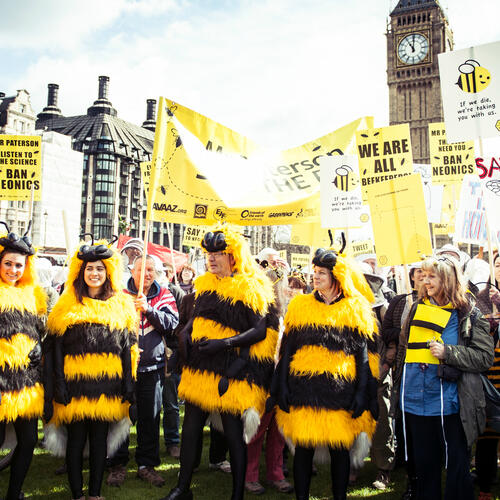 Bee Coalition questions strength of UK National Pollinator Strategy
