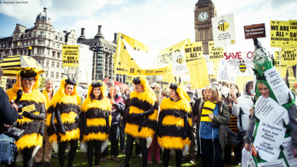 Bee Coalition questions strength of UK National Pollinator Strategy