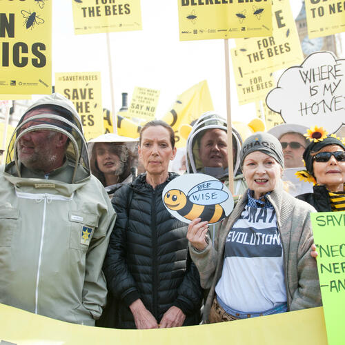 Coalition of UK environmental NGOs urges UK Government to enforce bee-harming pesticide bans