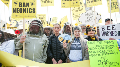 Coalition of UK environmental NGOs urges UK Government to enforce bee-harming pesticide bans