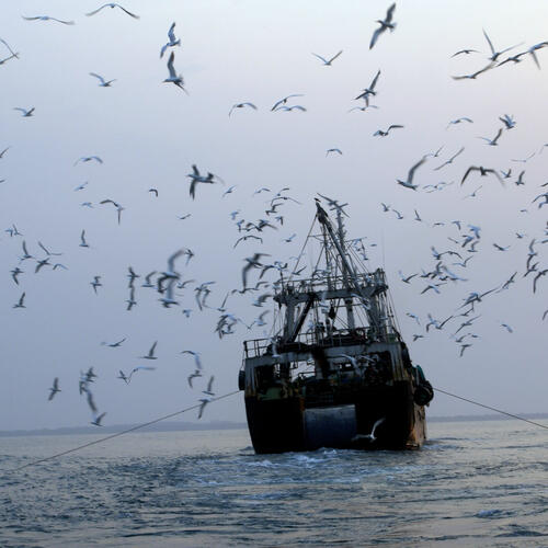 Landmark event in Brussels to encourage EU Member States to take stronger action on illegal fishing