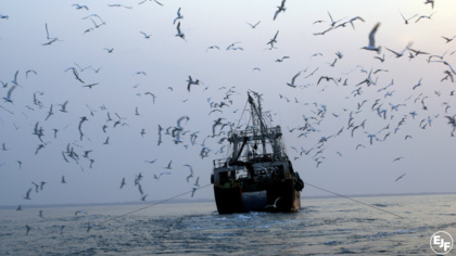 Landmark event in Brussels to encourage EU Member States to take stronger action on illegal fishing