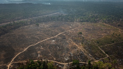 Europa-Abgeordnete versuchen EU-Lieferkettengesetz unwirksam zu machen